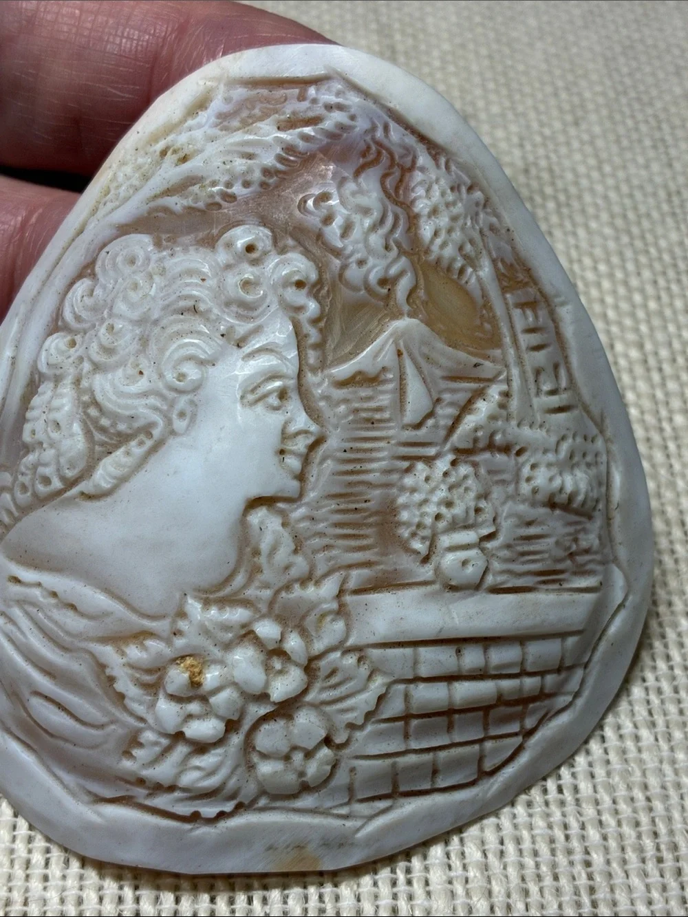 N/A delicate hand